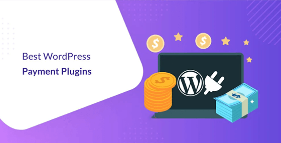 افزونه صدور فاکتور WordPress Payments Plugin